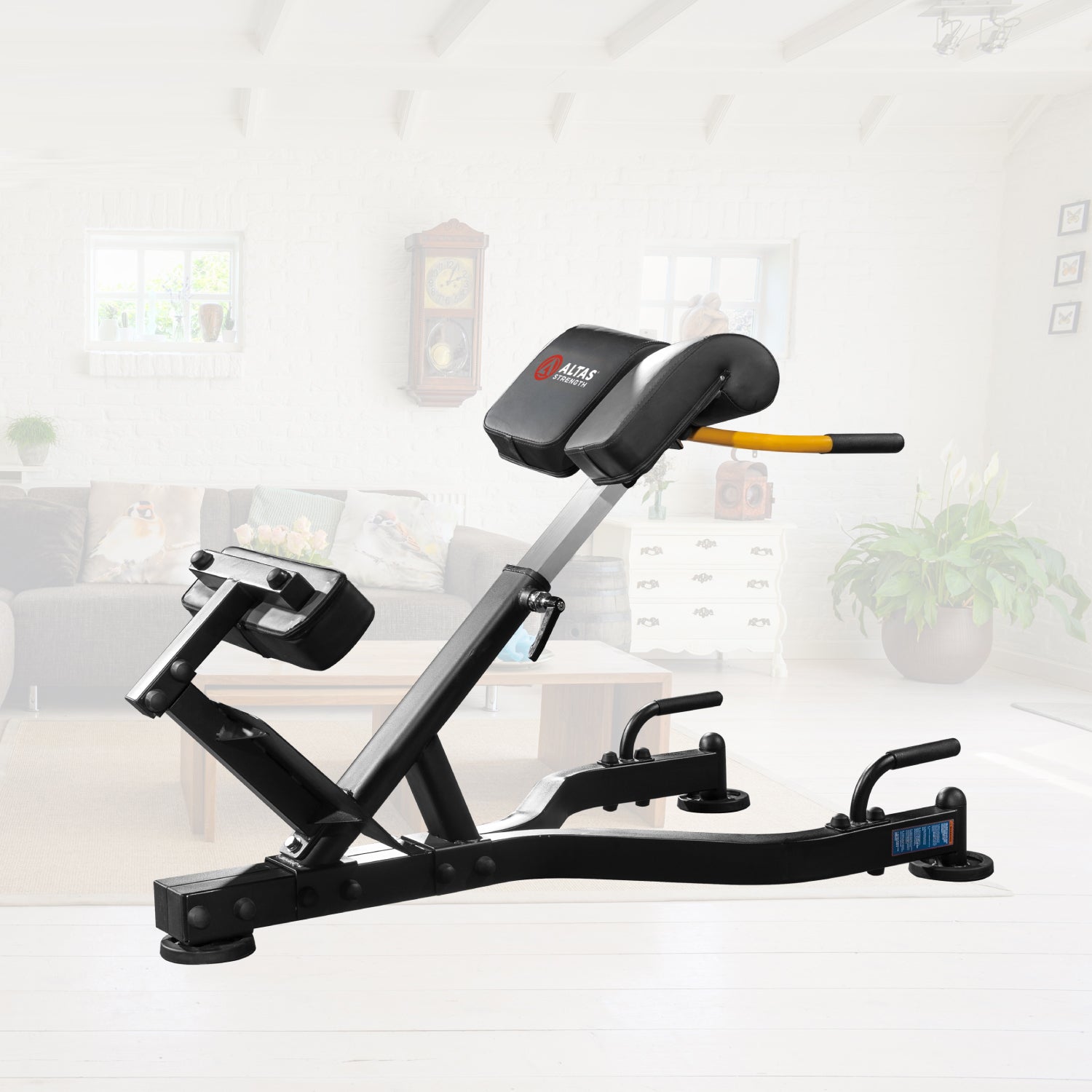 Home Gym Equipment Rome Chair Al-3037 - Fitness Dépôt +